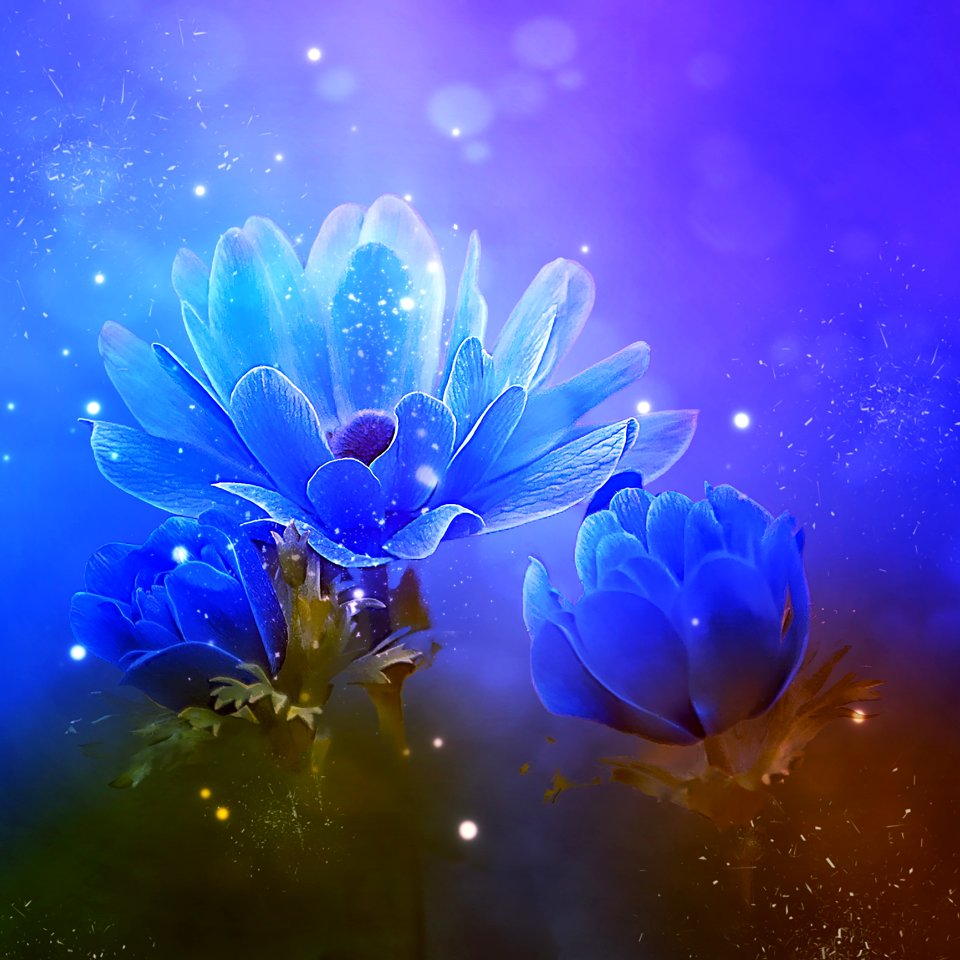 Blue Flower Water Flora