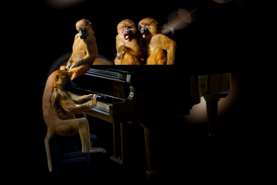Piano Pianist Darkness Keyboard