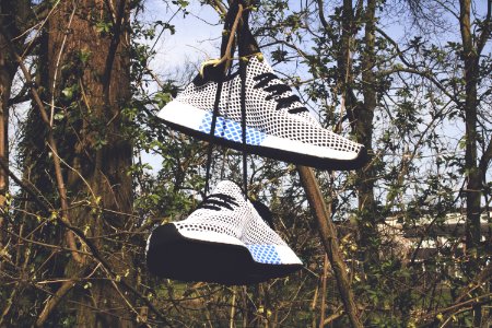 Pair Of White Low-top Shoes Hanging On Tree