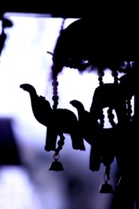 Silhouette Of Hanging Decors