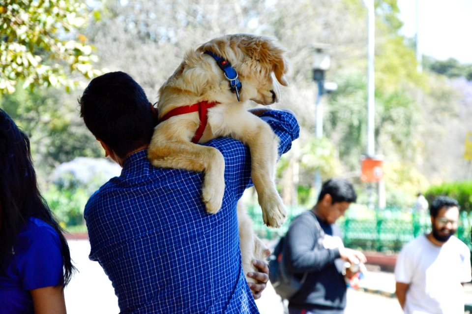 Man In Blue Long-sleeved Shirt Carrying Dog