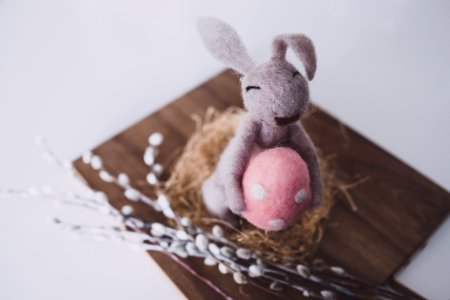 Close-up Photo Of Bunny Plush Toy