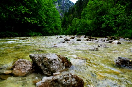 River Between Mountain Surrounded By Green Leaf Trees photo