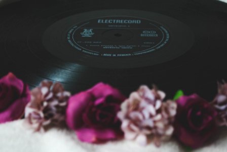 Floral Electrocord Vinyl Record Decor