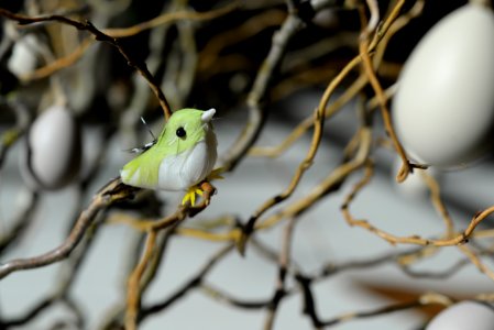 Green And White Bird Toy Perched On Tree Branch At Daytime