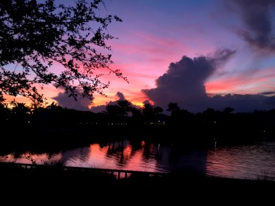 Silhouette Photo Of Tree Near Body Of Water photo