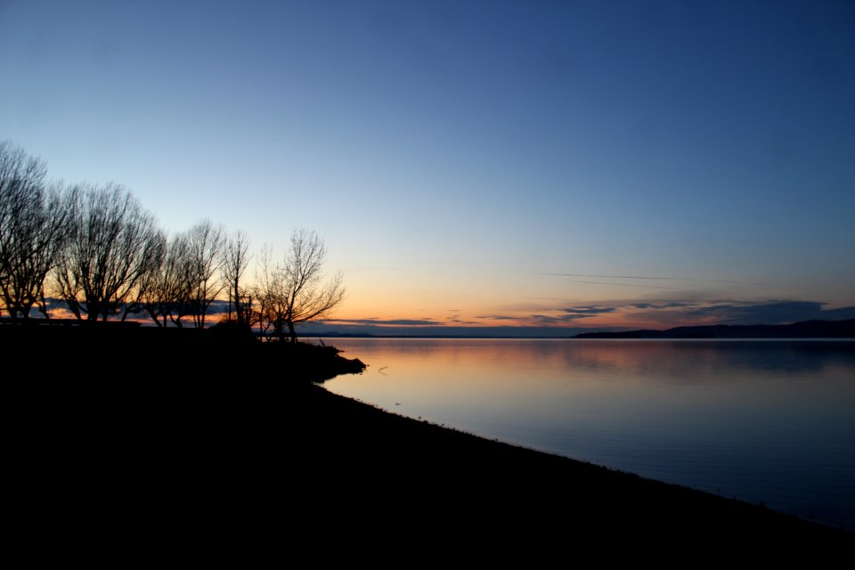 Silhouette Of Trees Near Lake At Golden Time