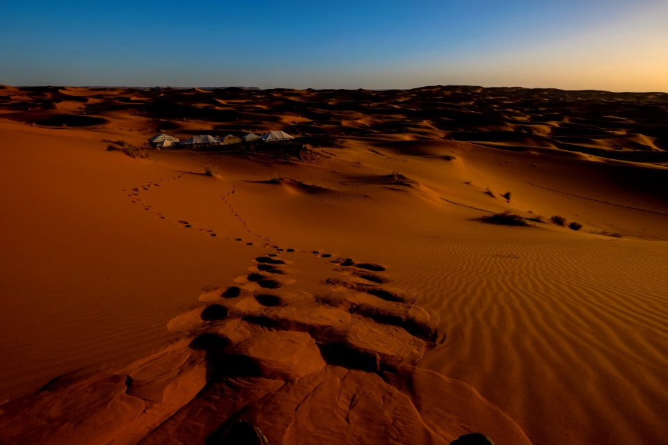 Footprints In Desert