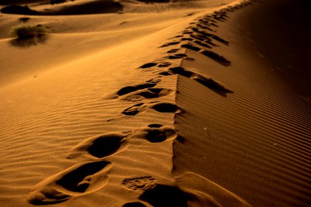 Sand Dune With Foot Prints photo