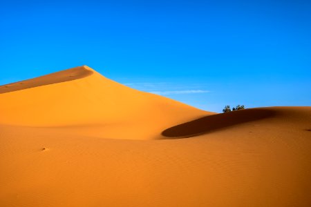 Desert Field photo