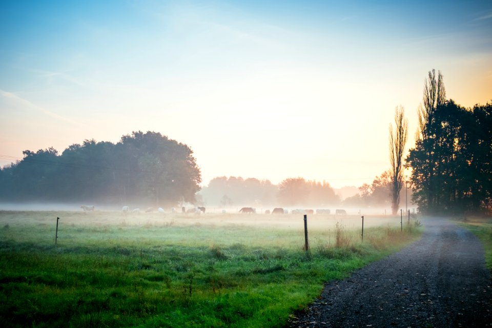 Photography Of Green Grass Field