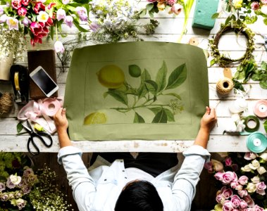 Person Holding Plant Painting
