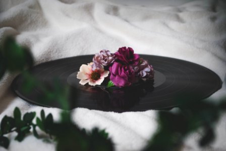 Selective Focus Photography Of Flowers On Top Of Vinyl Record photo