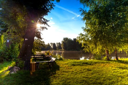 Body Of Water Surrounded By Trees photo