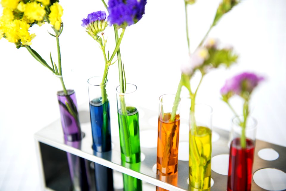 Assorted-color Flowers