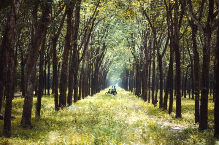 Photo Of Two Person Riding Motorcycle In The Middle Of Forest