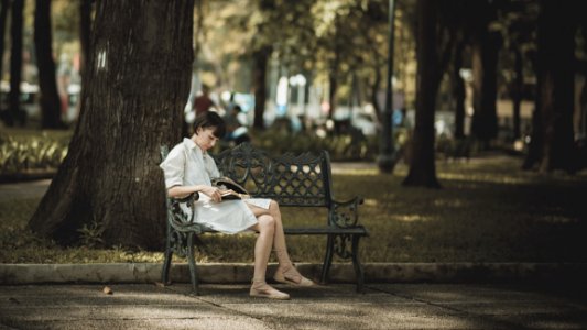 Photo Of Woman Sitting In The Bench Near Tree photo