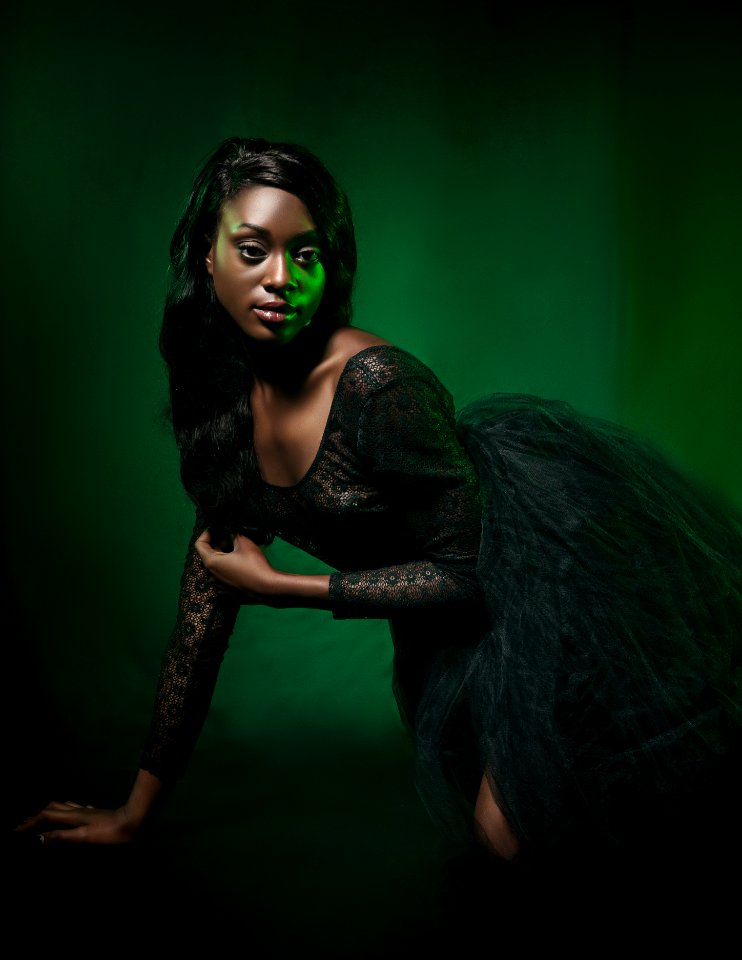 Woman Wearing Black Lace Long-sleeved Scoop-neck Gown Posing For A Photo