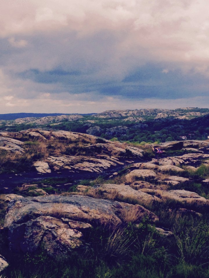 Landscape Photograph Of Brown Mountain Surrounded With Grass