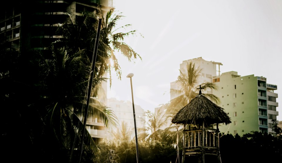 Photo Of Buildings Near Palm Trees photo