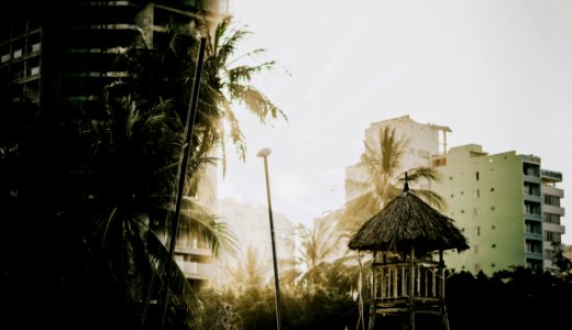 Photo Of Buildings Near Palm Trees photo