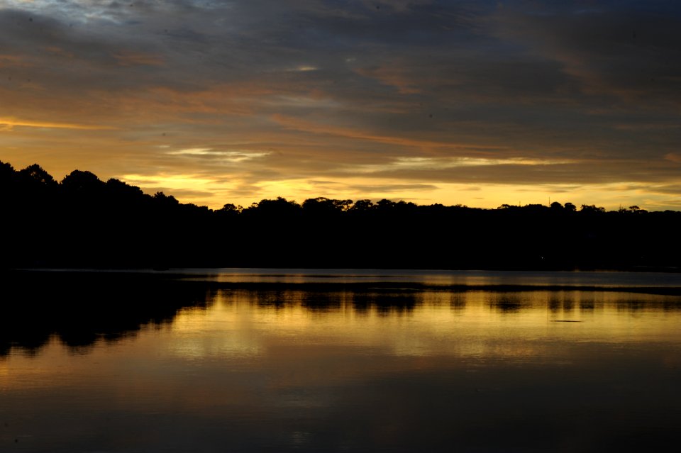 Silhouette Photo Of Trees Near River