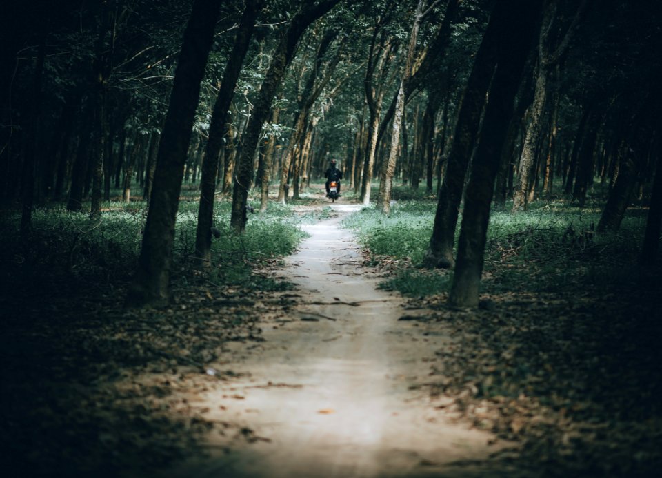 Photo Of Man Riding Motorcycle In The Forest