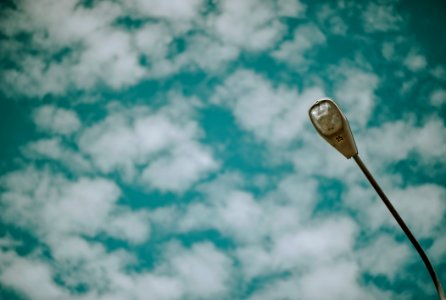 Photo Street Light Under Cloudy Skies