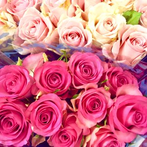 Pink And White Rose Boquets