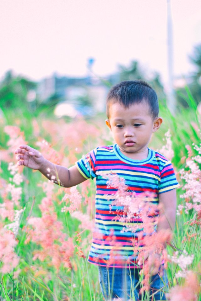 Boy Walking On Bush-covered Field Selective Focus Photo