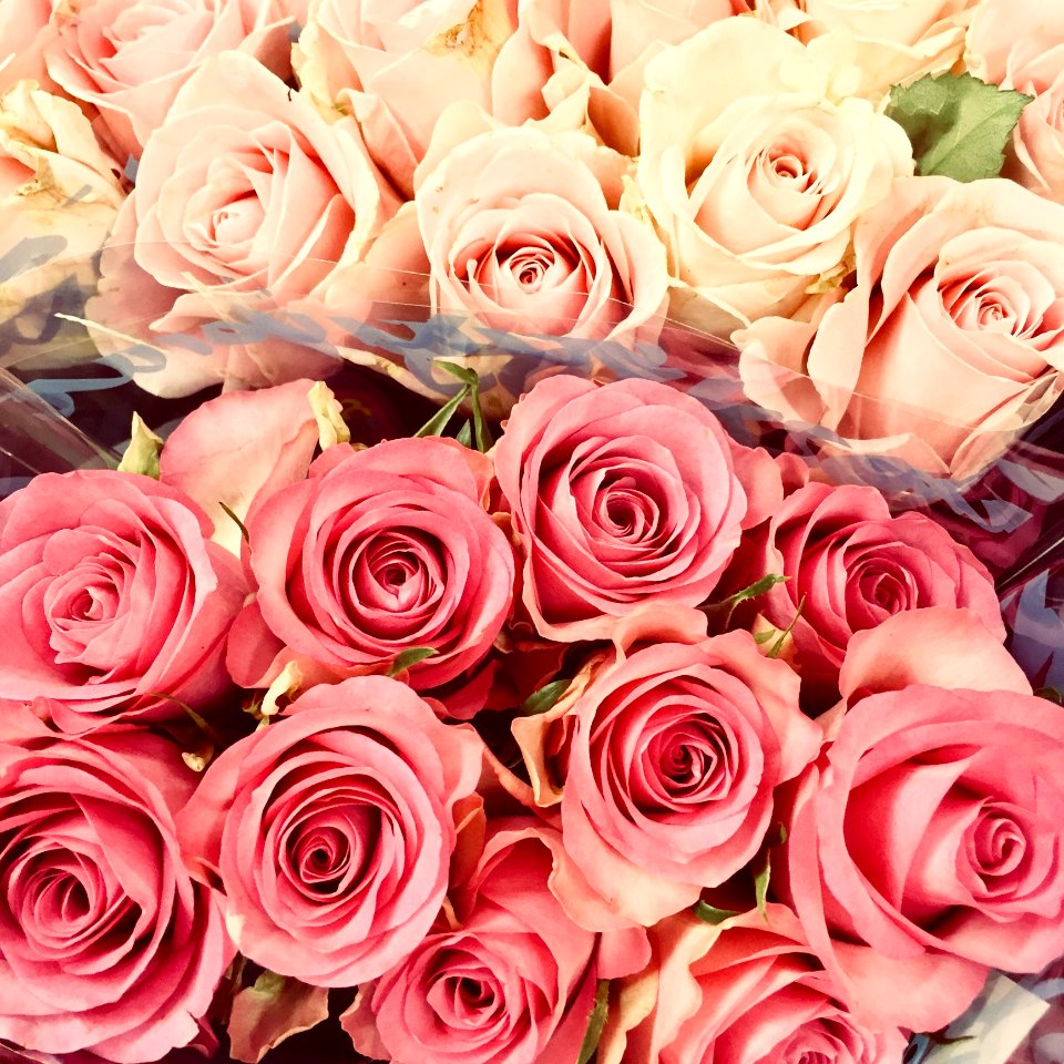 Pink And Red Rose Bouquets