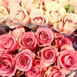 Pink And Red Rose Bouquets