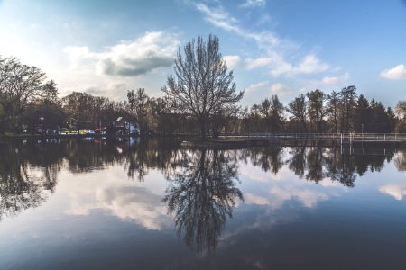 Reflection Of Trees On Body Of Water photo