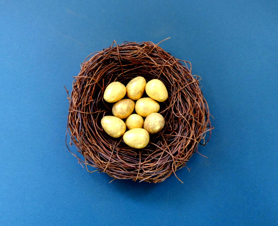 White Eggs In Brown Nest