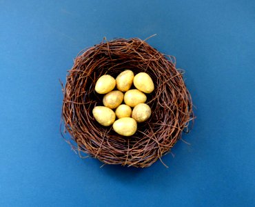 White Eggs In Brown Nest