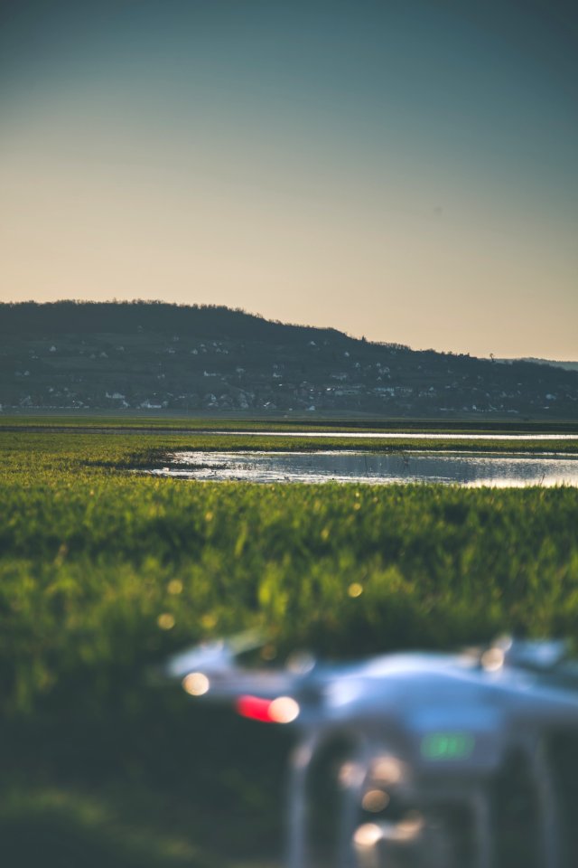 Grass Field