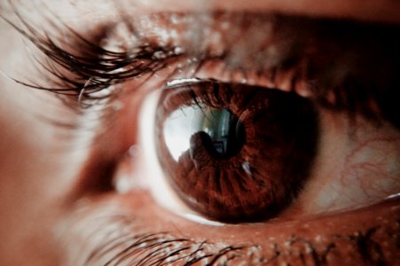 Brown Human Eye