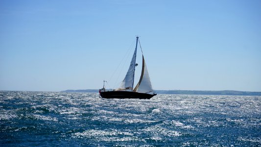 White And Black Sail Boat On Ocean photo