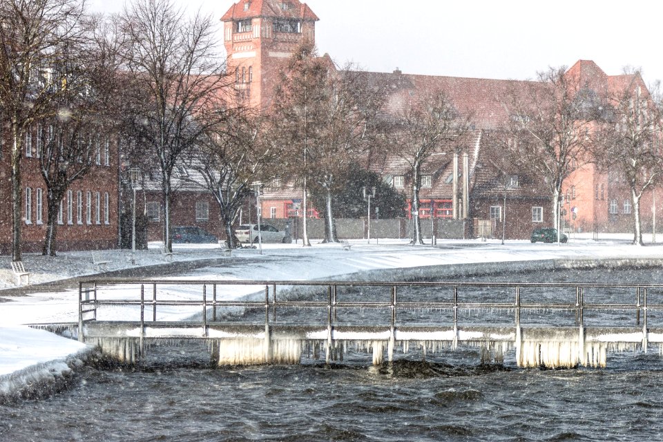 Photo Of Gray Bare Trees Near Body Of Water