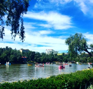 People Riding In Boat On Lagoon
