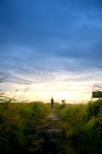 Person Wearing Black Shirt Walking Near Grass Field