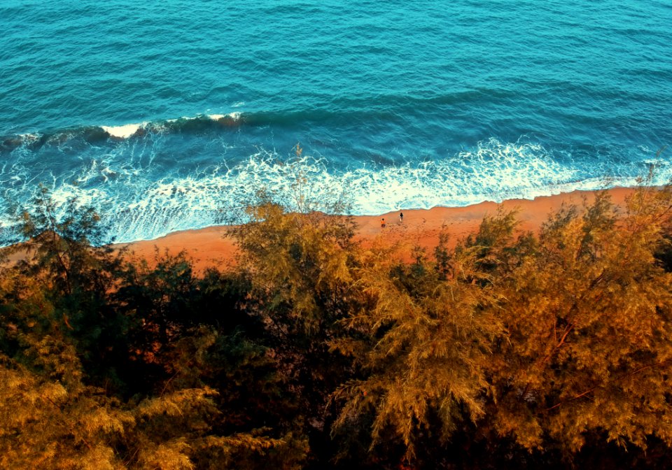Birds Eye View Of Beach