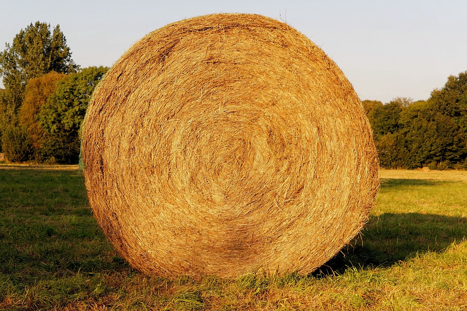 Heurundballen winter feed agriculture
