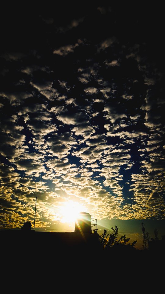Silhouette Of Building