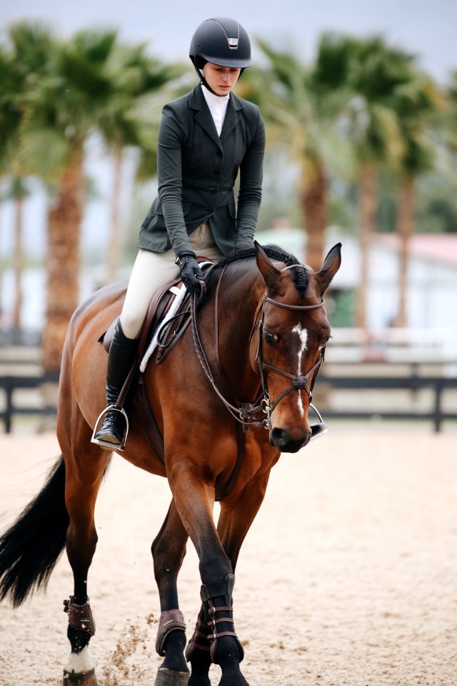Woman Rides Brown Horse