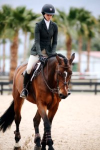 Woman Rides Brown Horse photo