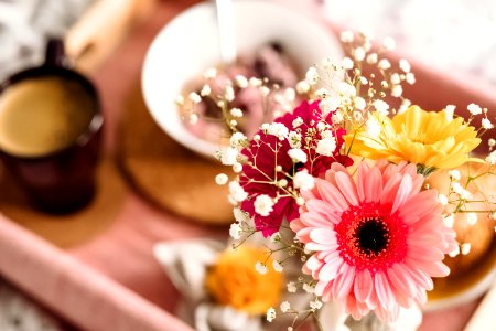 Shallow Focus Photography Of Coffee And Dish With Pink Gerbera Daisy photo