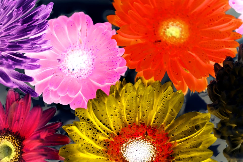 Art Background Beautiful