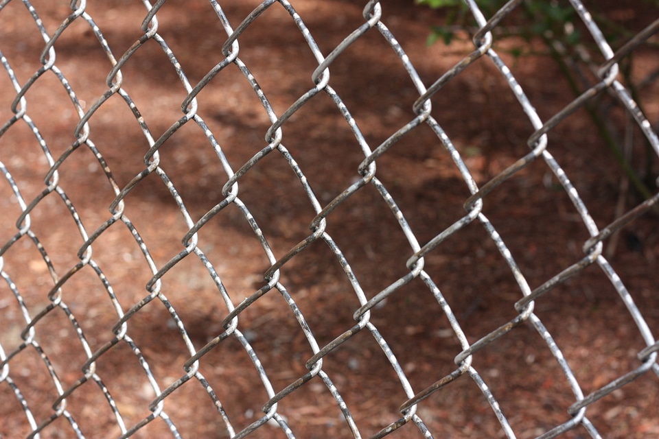 Encaged security link