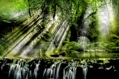 Waterfalls Surrounded By Trees